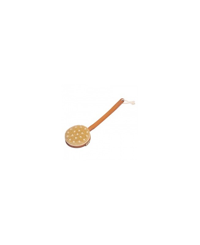 Brosse avec manche deÌmontable avec dentures de m