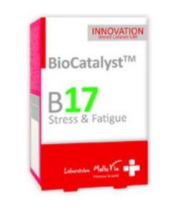 B17 Stress et Fatigue