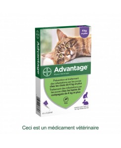 Bayer - Traitement anti-puces pour chats et lapins 4 kg +