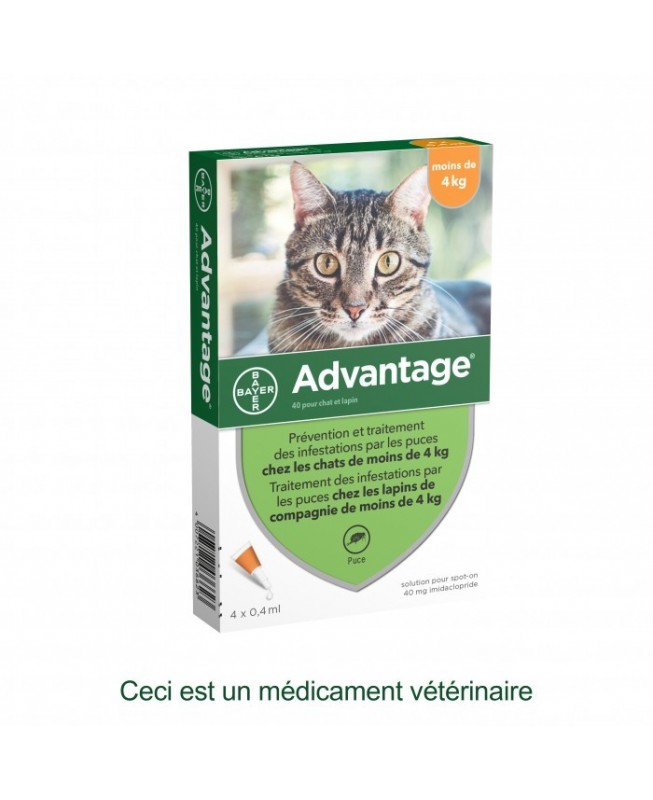 Bayer - Traitement anti-puces pour chats et lapins - 4 kg
