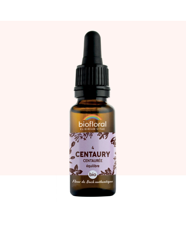 Fleur de Bach authentique - Centaury (Centaurée) n 4