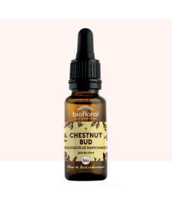 Fleur de Bach Authentique - Chestnut Bud (marronnier bourgeons) n 7 biofmloral