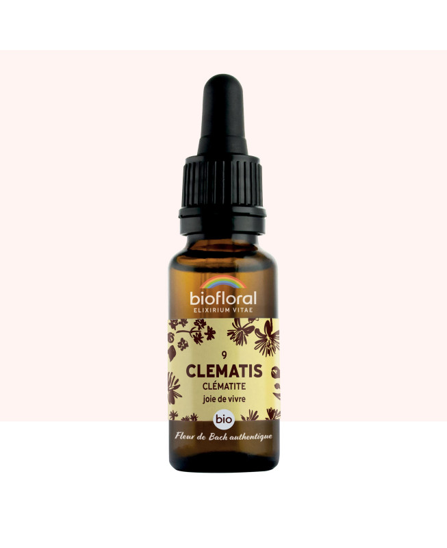 Fleur de Bach Authentique - Clématis (Clématite) n 9