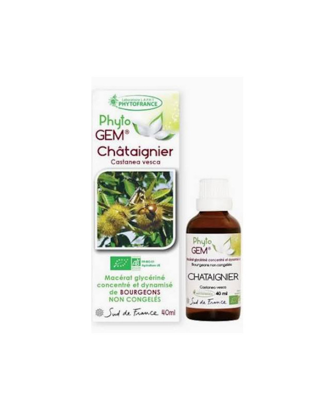 Phyto GEM Châtaignier