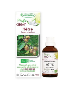 Phyto GEM Hêtre