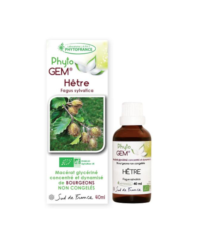 Phyto GEM Hêtre