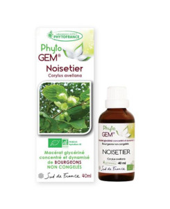 Phyto GEM Noisetier