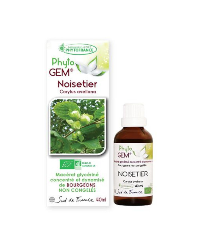 Phyto GEM Noisetier