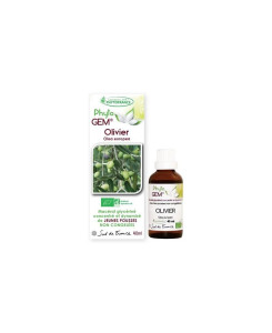 Phyto GEM Olivier