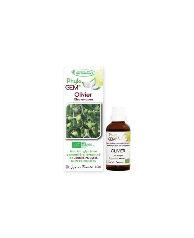 Phyto GEM Olivier