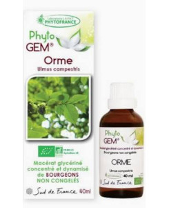 Phyto GEM Orme