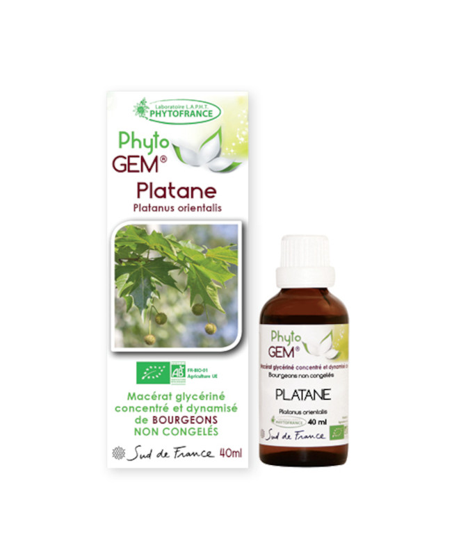 Phyto GEM Platane