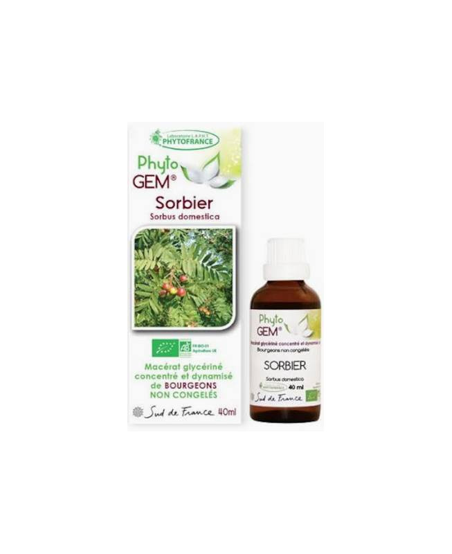 Phyto GEM Sorbier